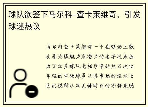 球队欲签下马尔科-查卡莱维奇，引发球迷热议